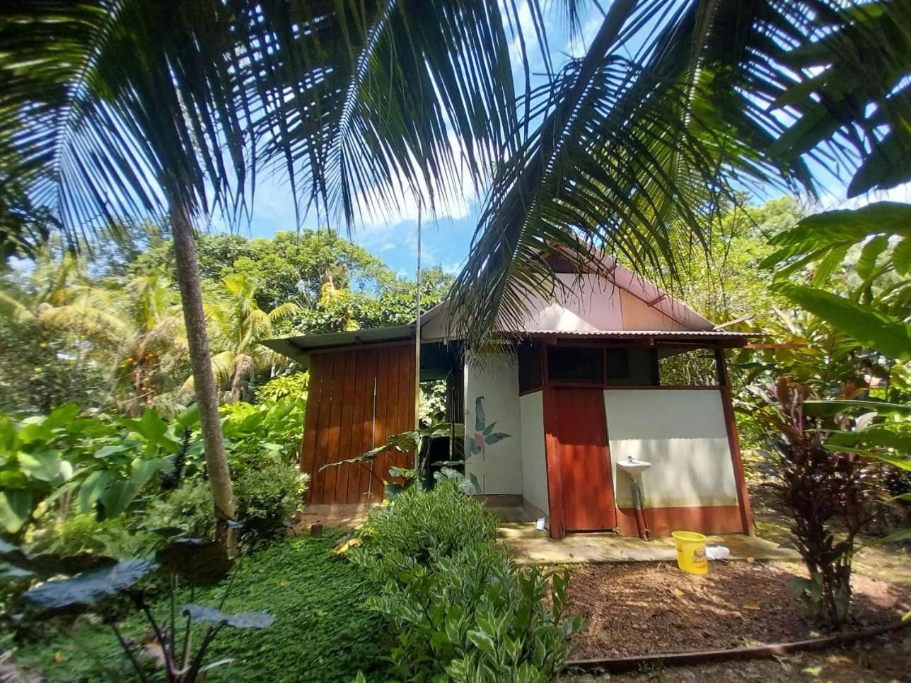 Jardin De Las Musas Puerto Maldonado Pokój zdjęcie