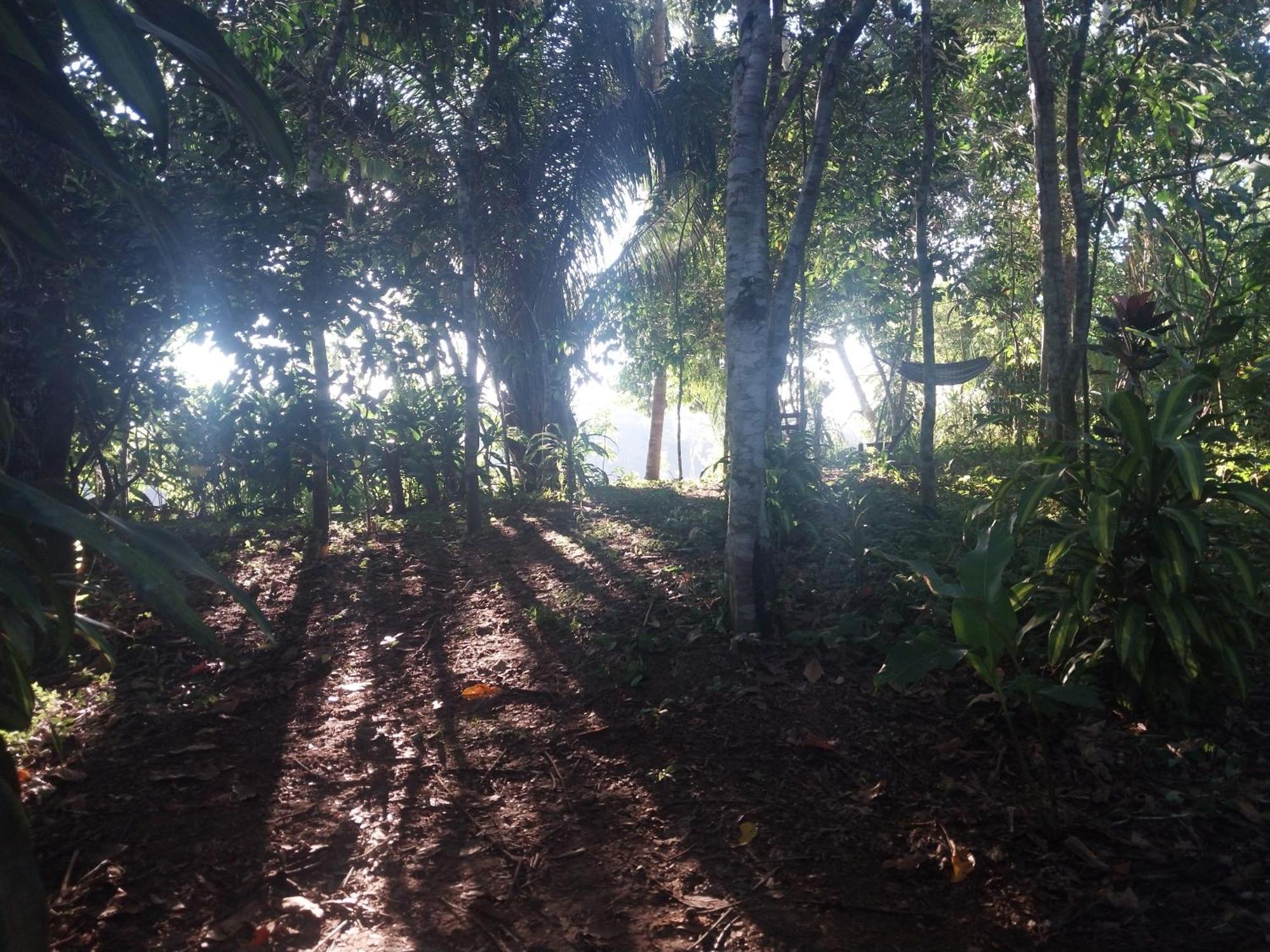 Jardin De Las Musas Puerto Maldonado Zewnętrze zdjęcie