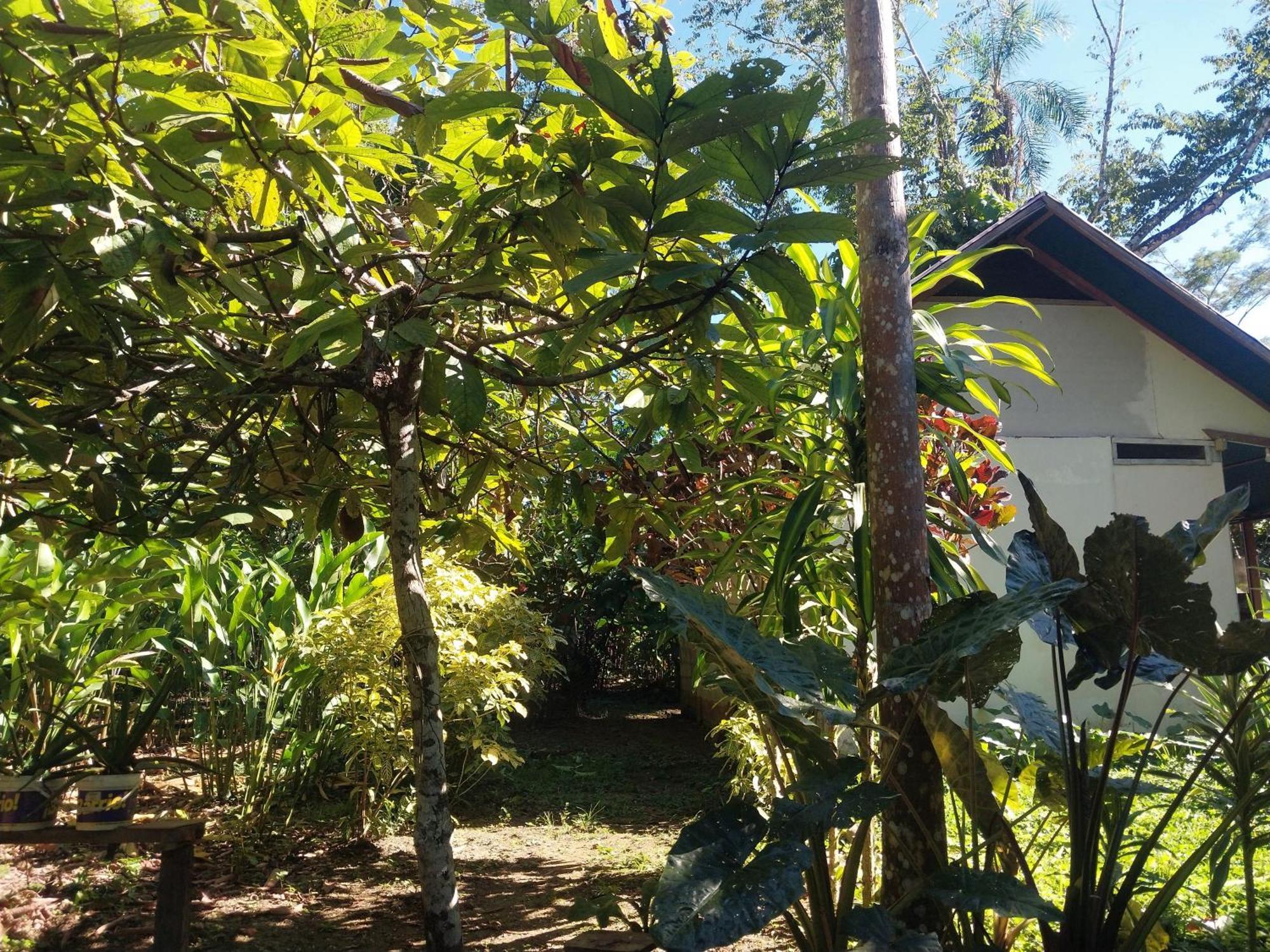 Jardin De Las Musas Puerto Maldonado Zewnętrze zdjęcie
